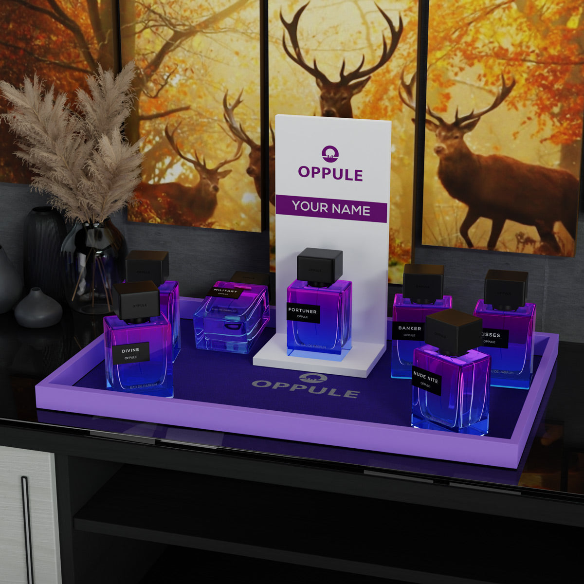 Oppule Perfume Display
